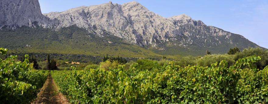 test článek 456789456789